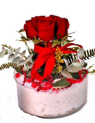 Ankara çiçekçi satışı sitemizden cam içerisinde 7 adet kırmızı gül Ankara çiçek gönder firması şahane ürünümüz