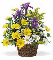 Ankara Ayaş Çankaya Çiçekçi firma ürünümüz karışık çiçeklerden mevsim sepeti Ankara çiçek gönder firması şahane ürünümüz