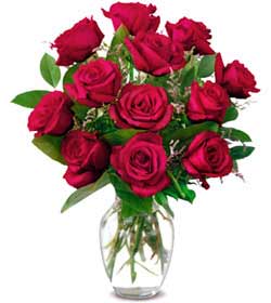 Ankara Ayaş de farklı bir çiçek firması ürünü  Sevgiye hasret gülleri Ankara çiçek gönder firması şahane ürünümüz