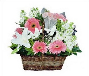 Ankara Ayaş çiçek gönder firmamızdan görsel ürün karışık mevsim çiçek sepeti Ankara çiçek gönder firması şahane ürünümüz
