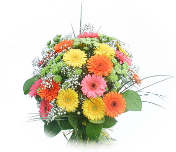 Ankara Ayaş Demetevler Çiçekçi firma ürünümüz karışık gerbera mevsim çiçek buketi