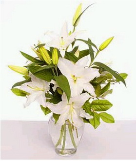Ankara çiçek gönderme 4 dal cazablanca vazo çiçeği