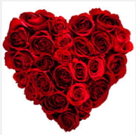 Ankara uluslararası çiçek gönderme 19 adet kırmızı gülden kalp tanzimi
