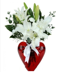Kalp vazoda 3 kazablanka çiçeği Ankara hediye çiçek yolla