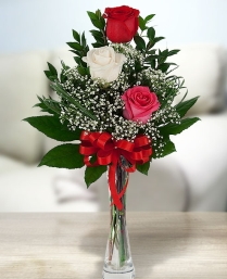 Camda 2 kırmızı 1 beyaz gül Ankara ucuz çiçek gönder